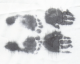 O40147454.png
